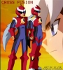 cross_fusion~1.jpg